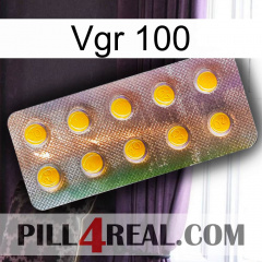 Vgr 100 new11